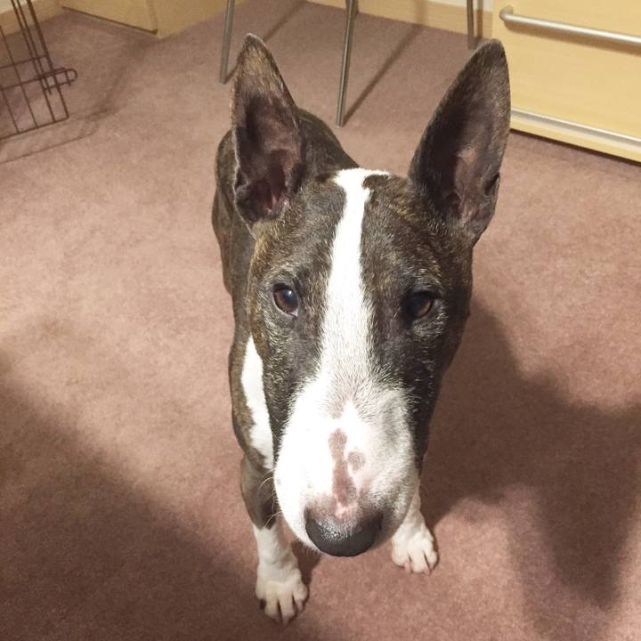 6c4a60d4 df01 4b1b 8af0 7ac4352169b7