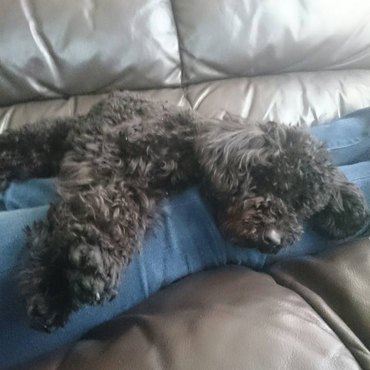 6c4bab2b ae20 4fae b184 18b6508457d9