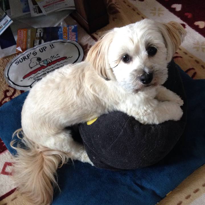 6c4bf185 0d58 460f a12a c394a77012c0