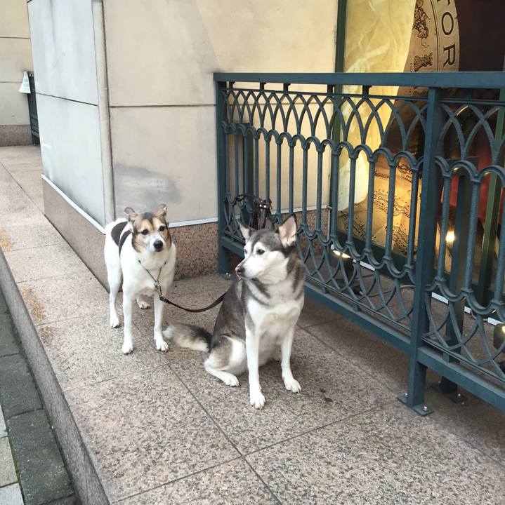 6c4c8f91 30d2 4ac0 8cca c7d96143d3ba