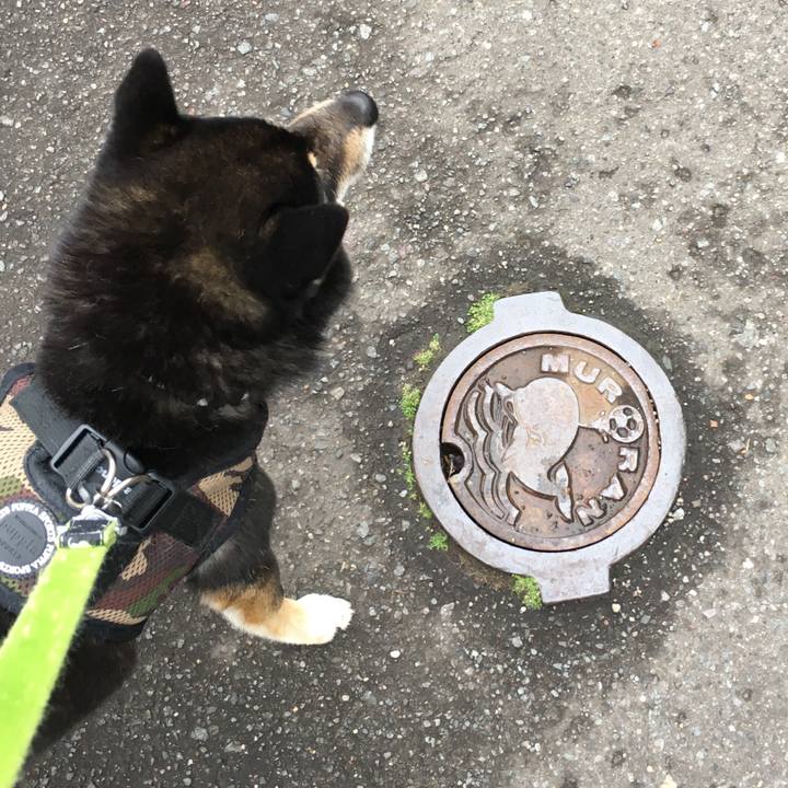 6c4cb6e3 da43 460a ae43 fe94b5636587