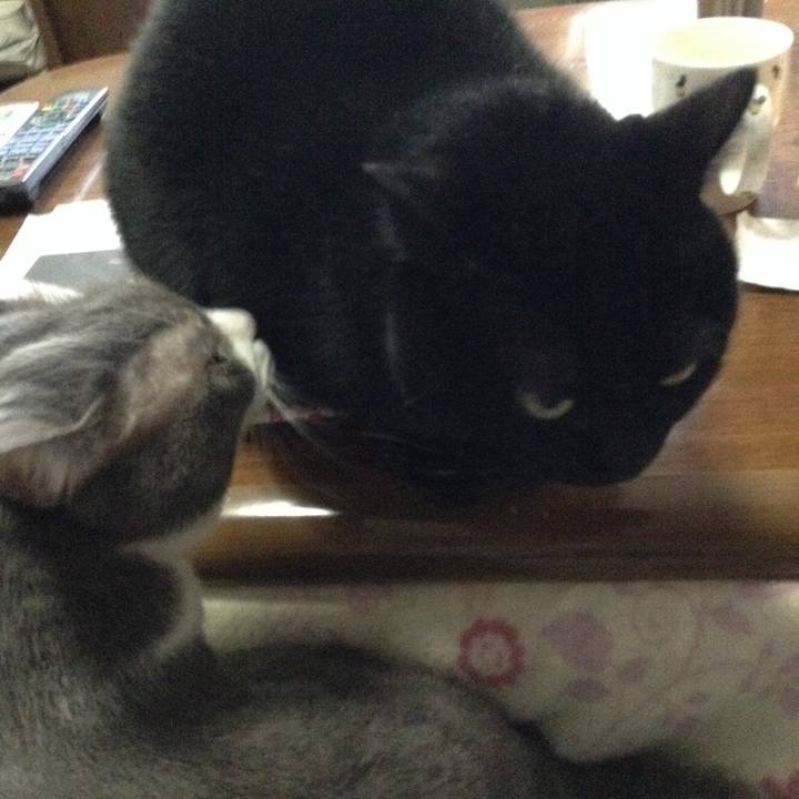 6c4d1928 9992 4032 b46b b123454f40f4