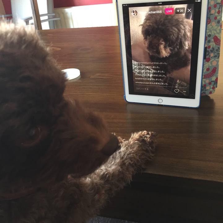 6c4d27fa bc39 4f22 b607 498d2b7b5d3e