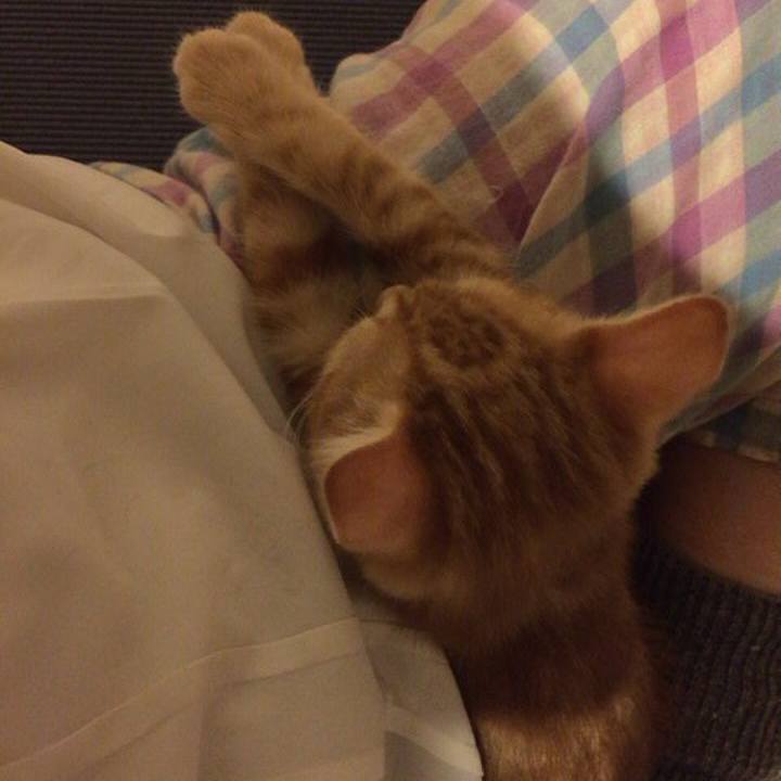 6c4d2c84 e184 4532 9673 884e97faa06a