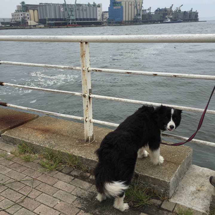 6c4d2d34 6ea4 47ac a709 d0250903e02c