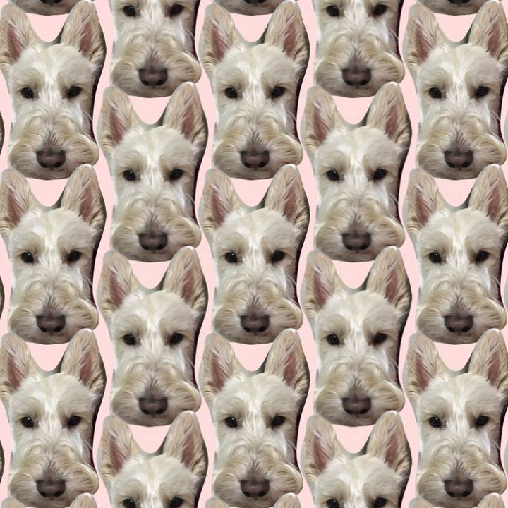 6c4daa2c a647 43e9 b81c d823914d45d3