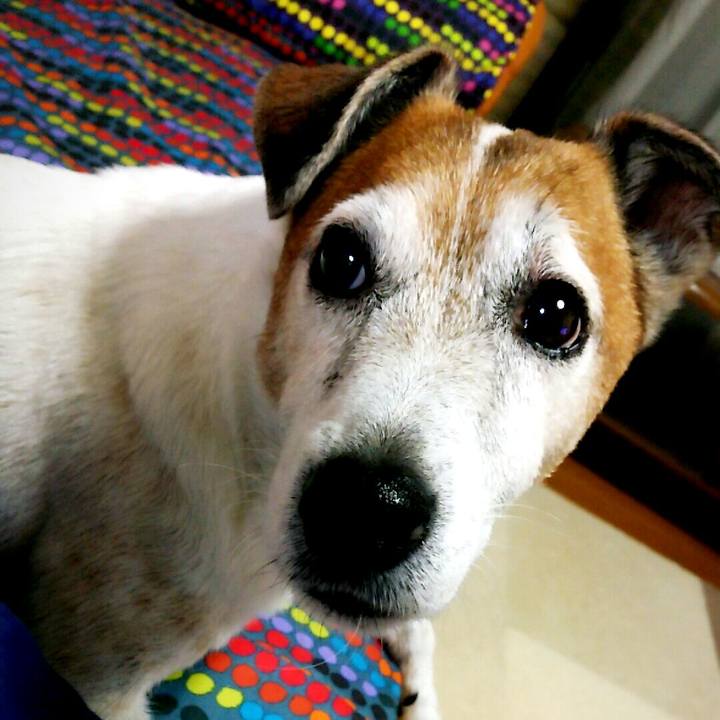 6c4dabbc b472 4228 ac44 d10a1d8decc9