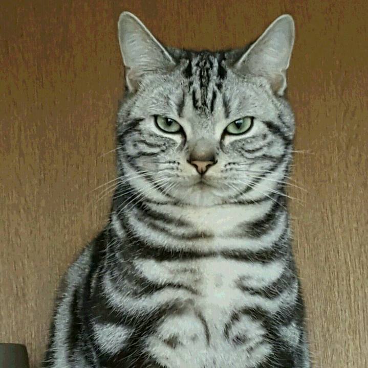 6c4f6c87 48fa 4f98 82d8 36329f33f943