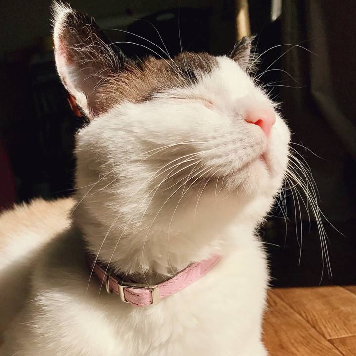 6c4fb44d 7b92 47d1 9e4c 86669e73e642