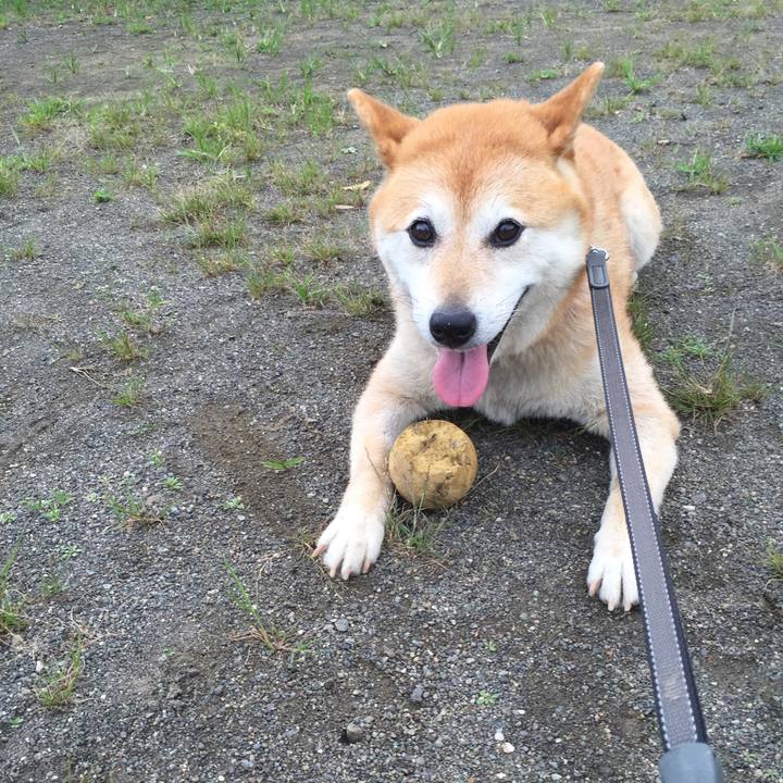 6c503f18 d203 48ab 8783 74a4284c914c