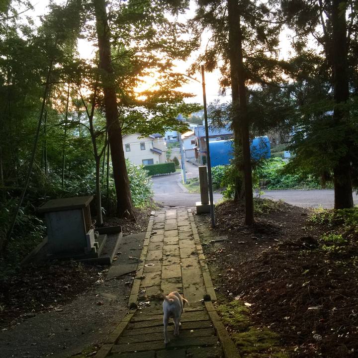 6c51885c 9aab 44b4 90d5 25fb0a1aae78