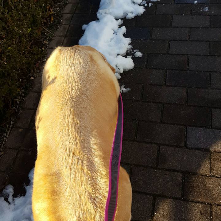 6c51c7bc 9c8b 49da a285 423d92001c6a