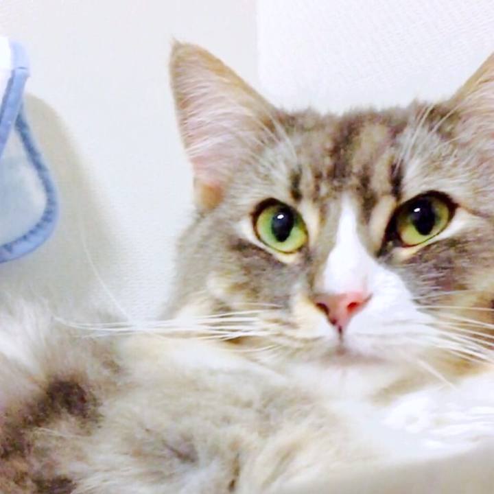 6c525f64 6084 4882 83de a4d047c7c240