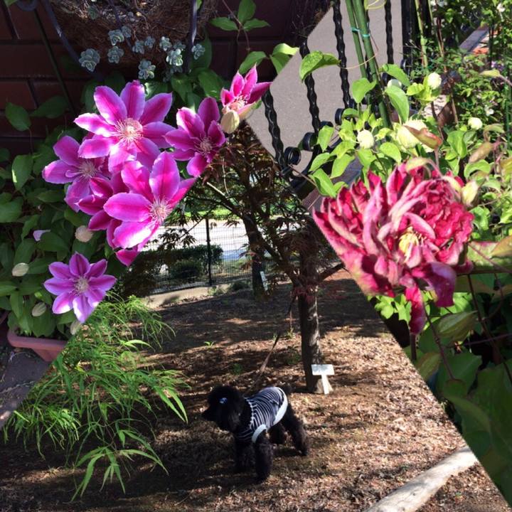 6c529bbe cb1f 408b bd9b 10e87a91a9b6