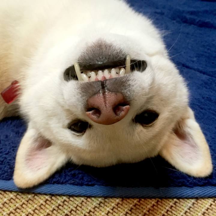 6c52a98d b1b1 4e4d ac33 141afb7c6a37