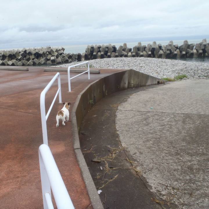 6c52d6e5 aa8e 4a04 b289 0d3eeda68ff3