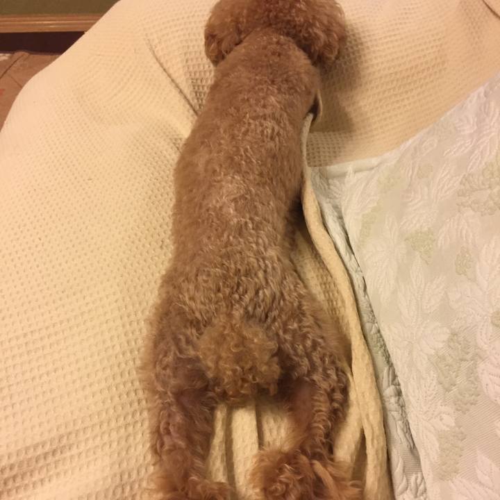 6c533760 8c2b 4a82 a0a6 960dd53ea509