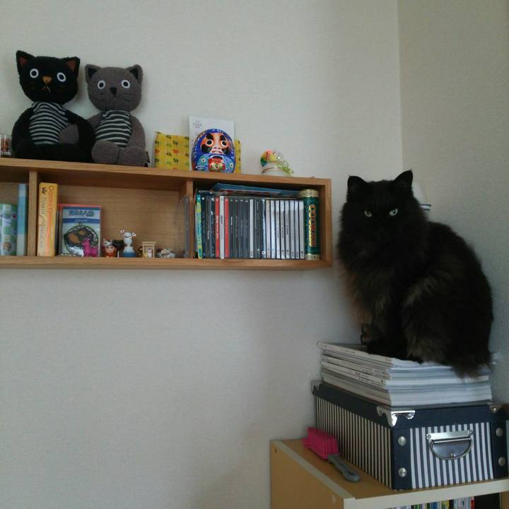 6c535c31 f58f 4abb a112 a3ce928a409c