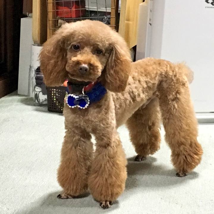 6c5376df 235a 493c b452 4bca5e883c67