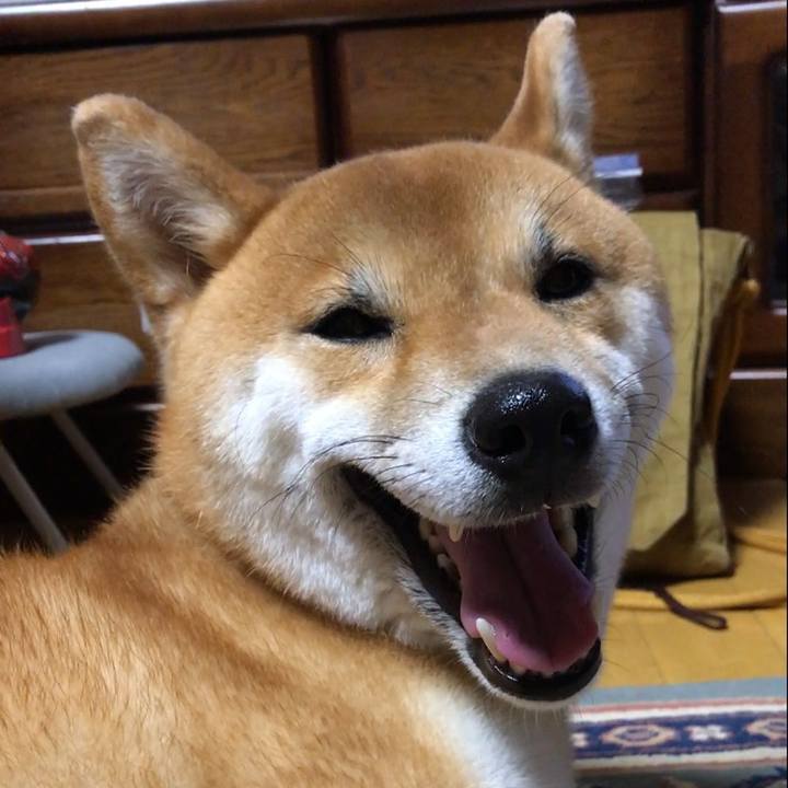 6c5439b8 04ea 4e2e bf8a c62249597c66