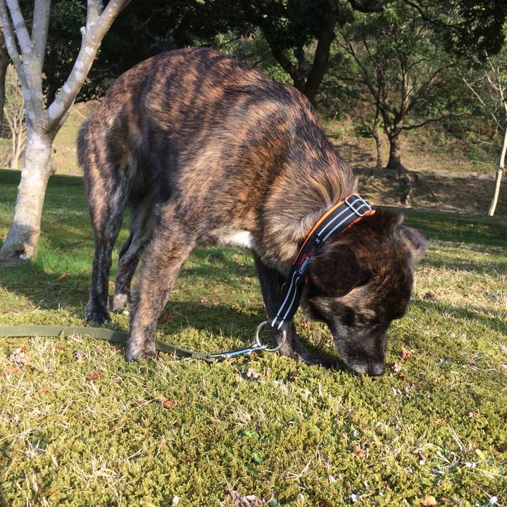 6c5474fe 119a 4544 8728 44b2d33795e9