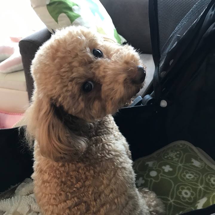 6c553521 259e 4f23 8aca 9c710f0d5175