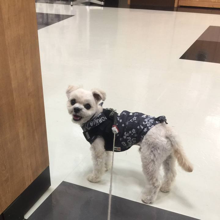 6c554d52 c6b7 4321 9434 301febc7c1c0