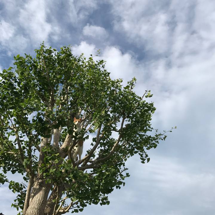 6c55793d 5d3b 47e6 9423 558e2dc119cf