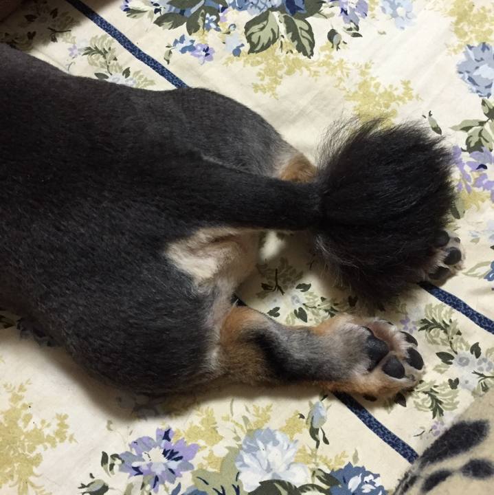 6c562470 d65a 4e90 b8f0 998ade6afbfd