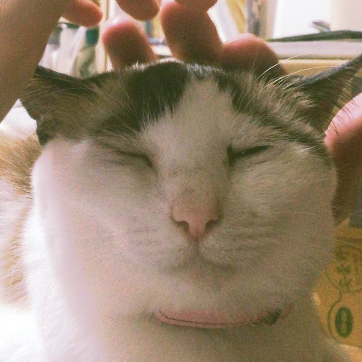 6c5635aa f871 431c aa47 67ae888f1e1a