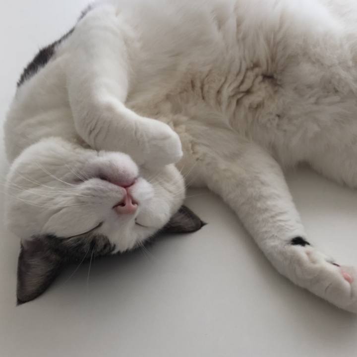 6c567bd5 b075 4706 8f70 bcfe963202af