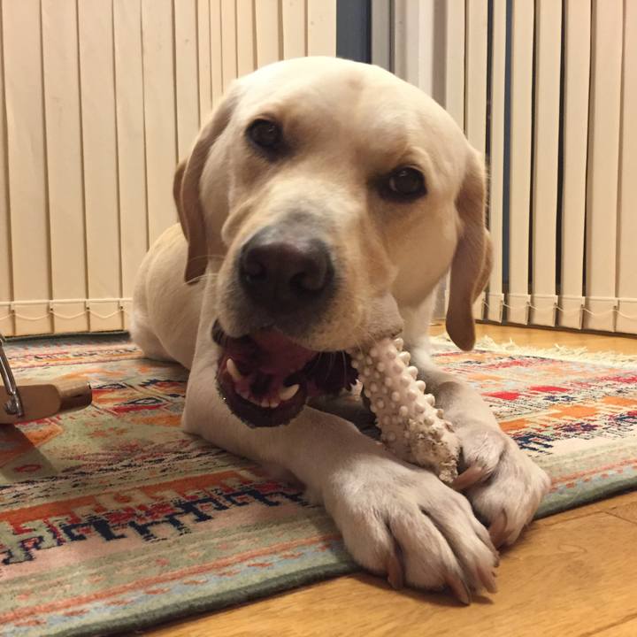 6c56945b 44db 4cd4 b5fe d91d561d68c9