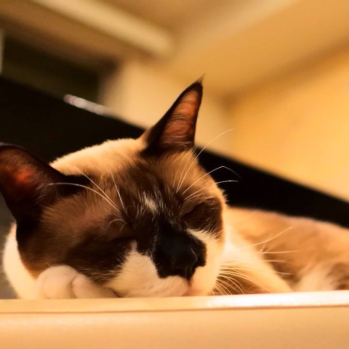 6c571a41 1036 449f a23b 6c5455640a7a