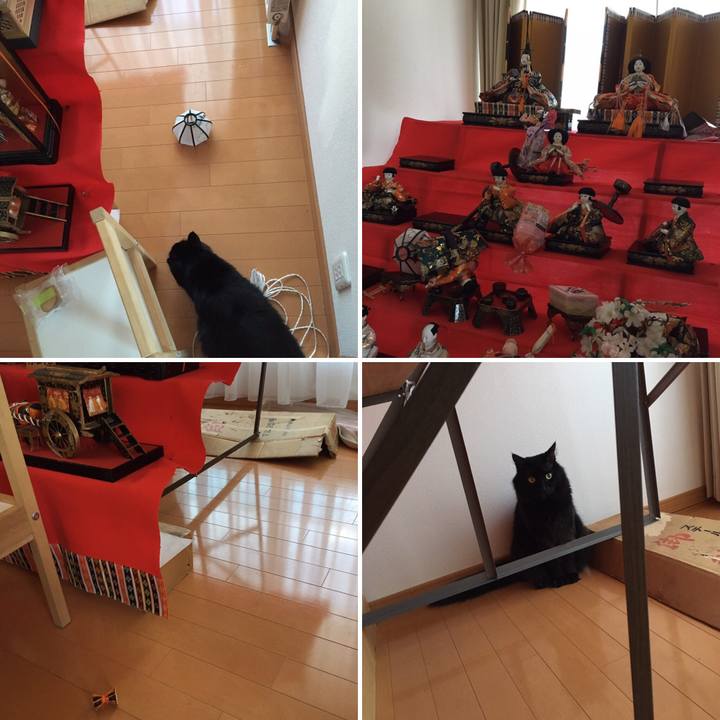 6c573ccb 4ef3 48fc b429 027ed9e007f2