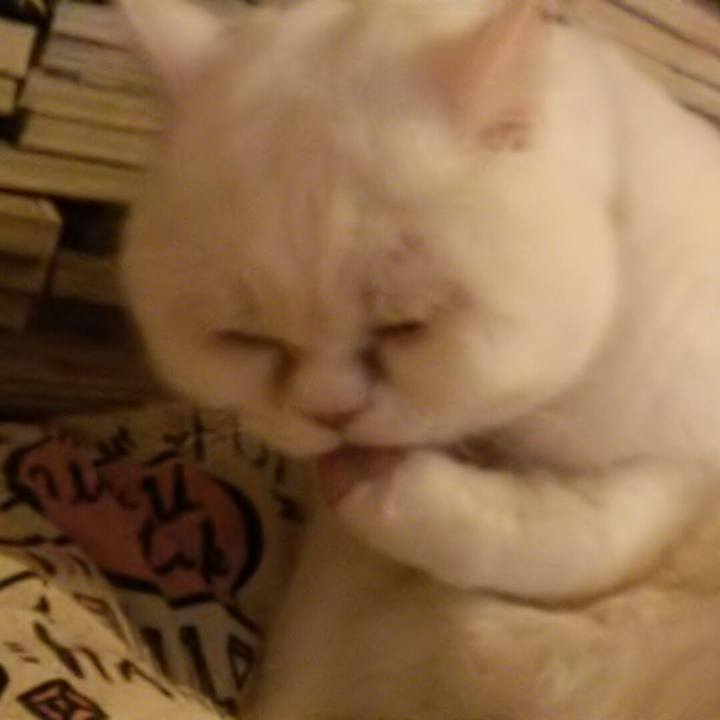 6c57555e 4140 40a9 b8c2 30eb4caf20ed