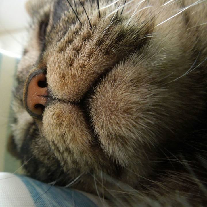 6c57b39a a4a2 4b0b 94b4 f7ede2e8dcc6