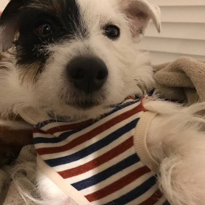 6c57d08f 049b 49db 87ef 5206de9b0bd4