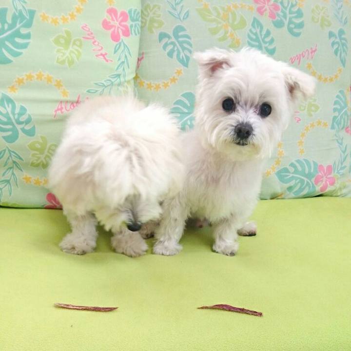 6c57e8e2 0ffc 44ee 96b8 ff8cbe93f9b1