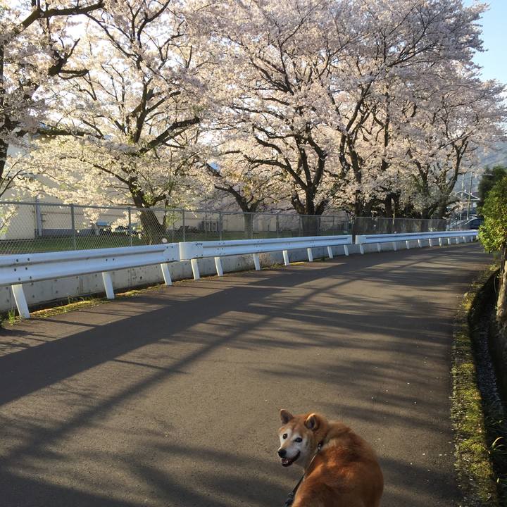 6c5822d6 b977 4977 bc62 d024d74a7e07