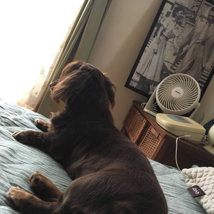 6c585a2a 1b4b 42a5 8ce8 95e987f2a79f