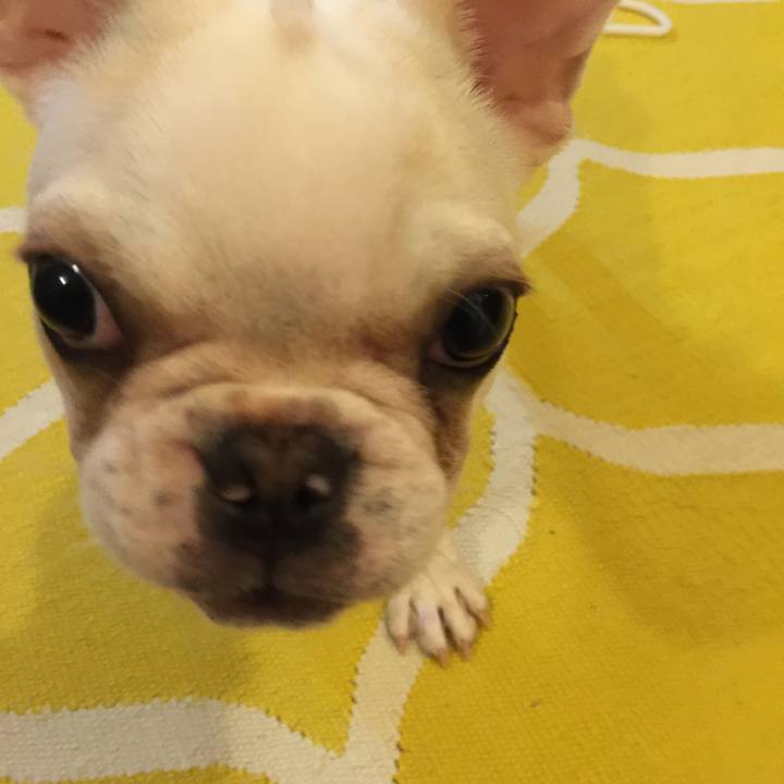 6c5896c4 c82c 42ab bca7 d3fdc096d012