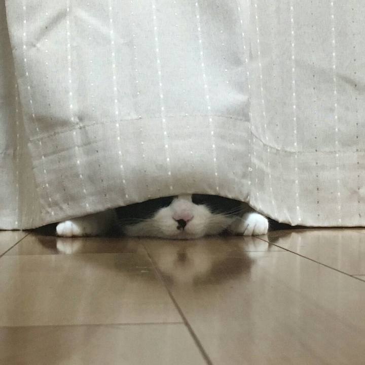 6c58e74d 269a 49b5 acdb 7d6d35836c4a