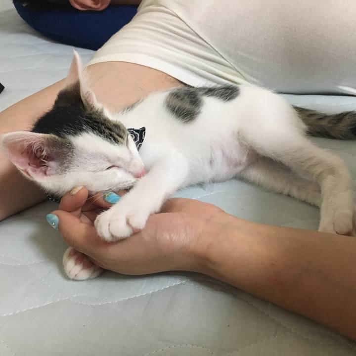 6c59a902 a23c 4ab8 a804 82447acb549d