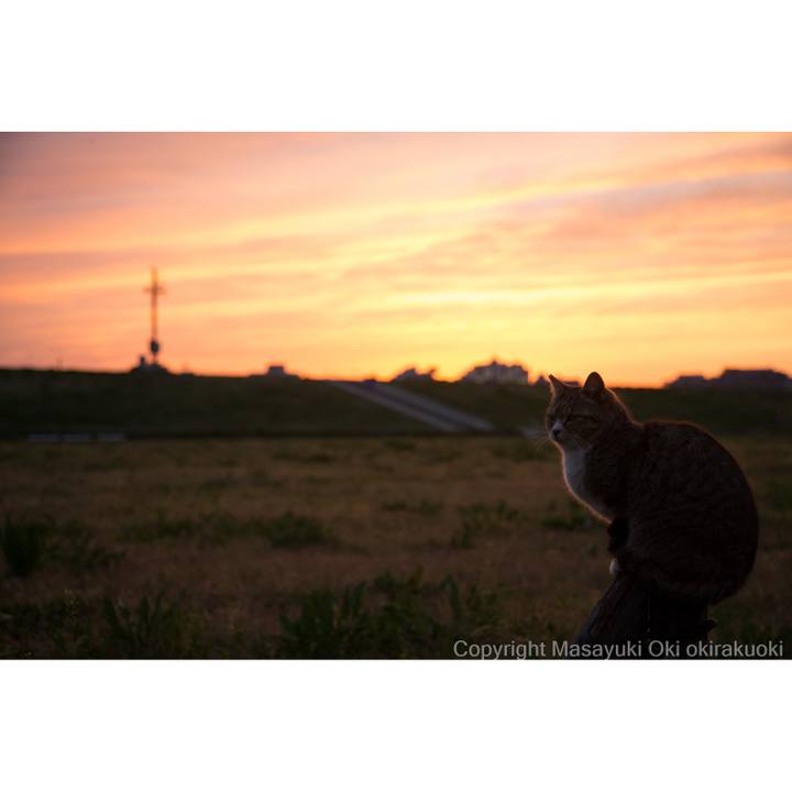 6c5a63f4 cf87 43fe 9c76 ab5847acb9d8