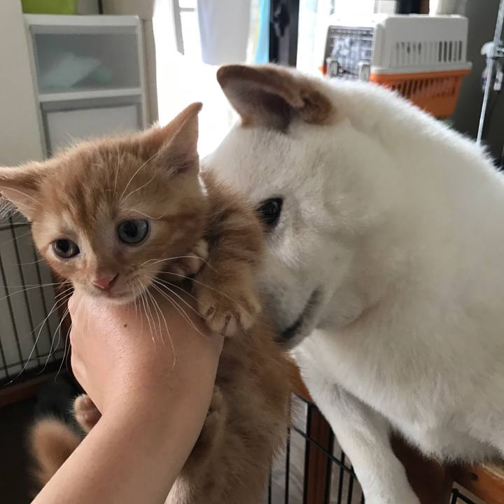 6c5a723e bc61 4558 b034 b741d5f7bb60