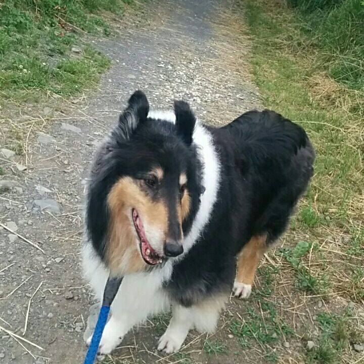 6c5b4696 d7a6 4a09 810b 000cc107d087