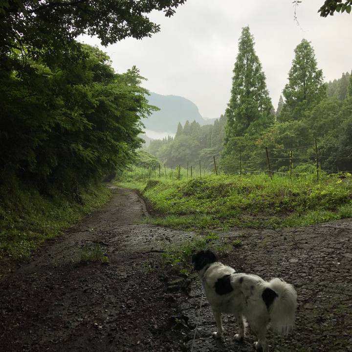 6c5b6780 e26e 4552 915d 8240a652b658