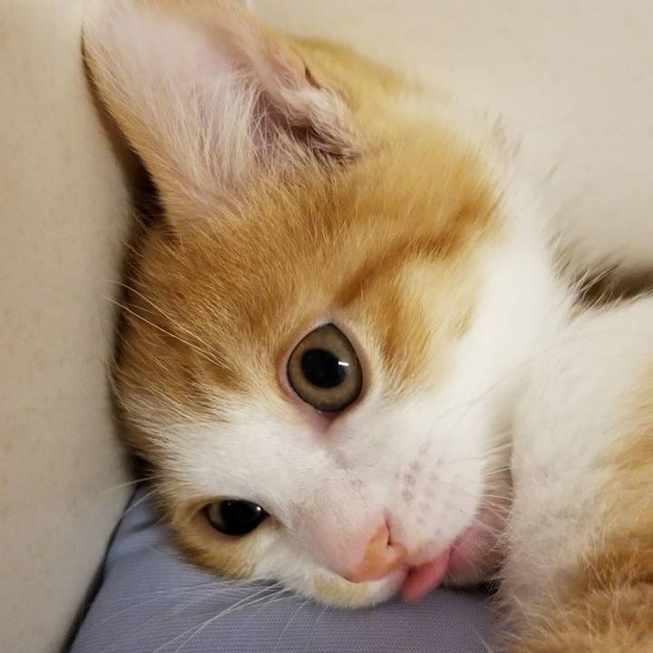 6c5bdf94 3d15 46e2 b999 a9e29987bd1e