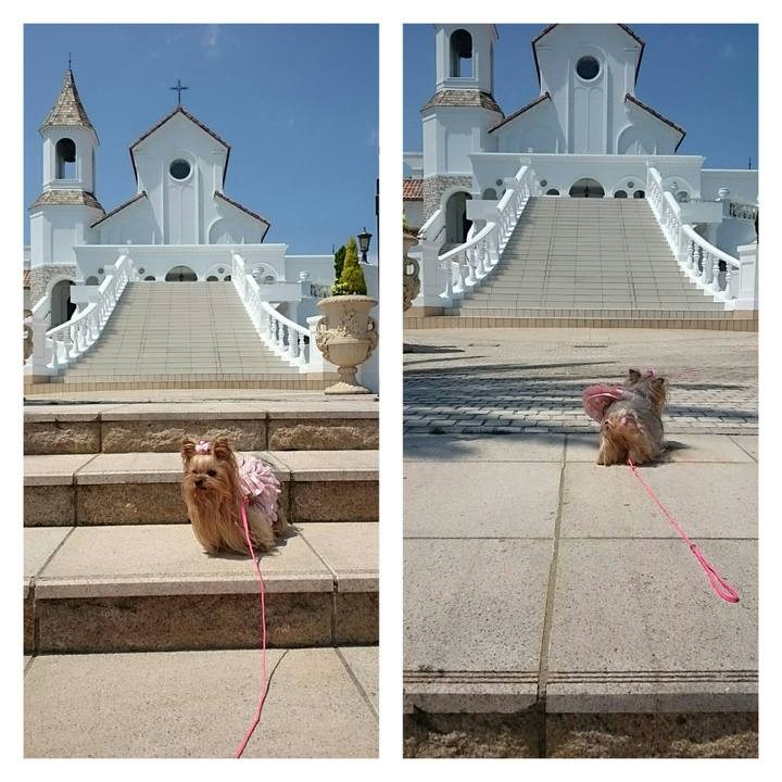 6c5c13d6 5e05 4011 a3f6 38f7415fdb71