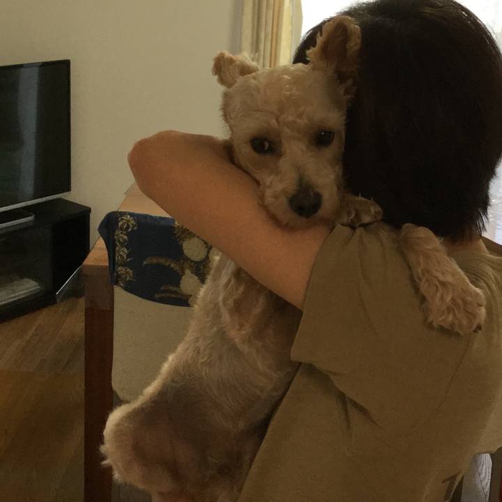 6c5c4cab db2a 4d80 9241 b3804c35756c